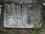 image of grave number 911485